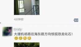 恐龙视频爆料网站大全,全方位恐龙视频爆料网站大盘点