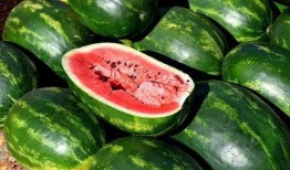 网红吃瓜糗事大全,笑料百出，揭秘娱乐圈幕后趣闻