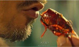 龙虾大火爆料怎么做的视频,独家揭秘视频制作全过程